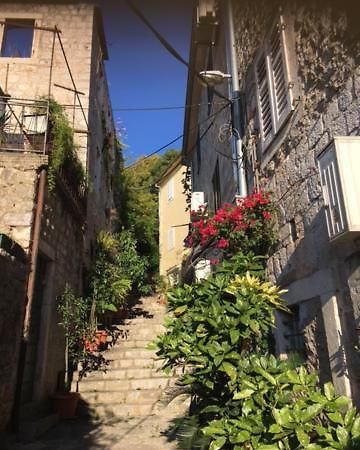 Apartment Simo Herceg Novi Exterior photo
