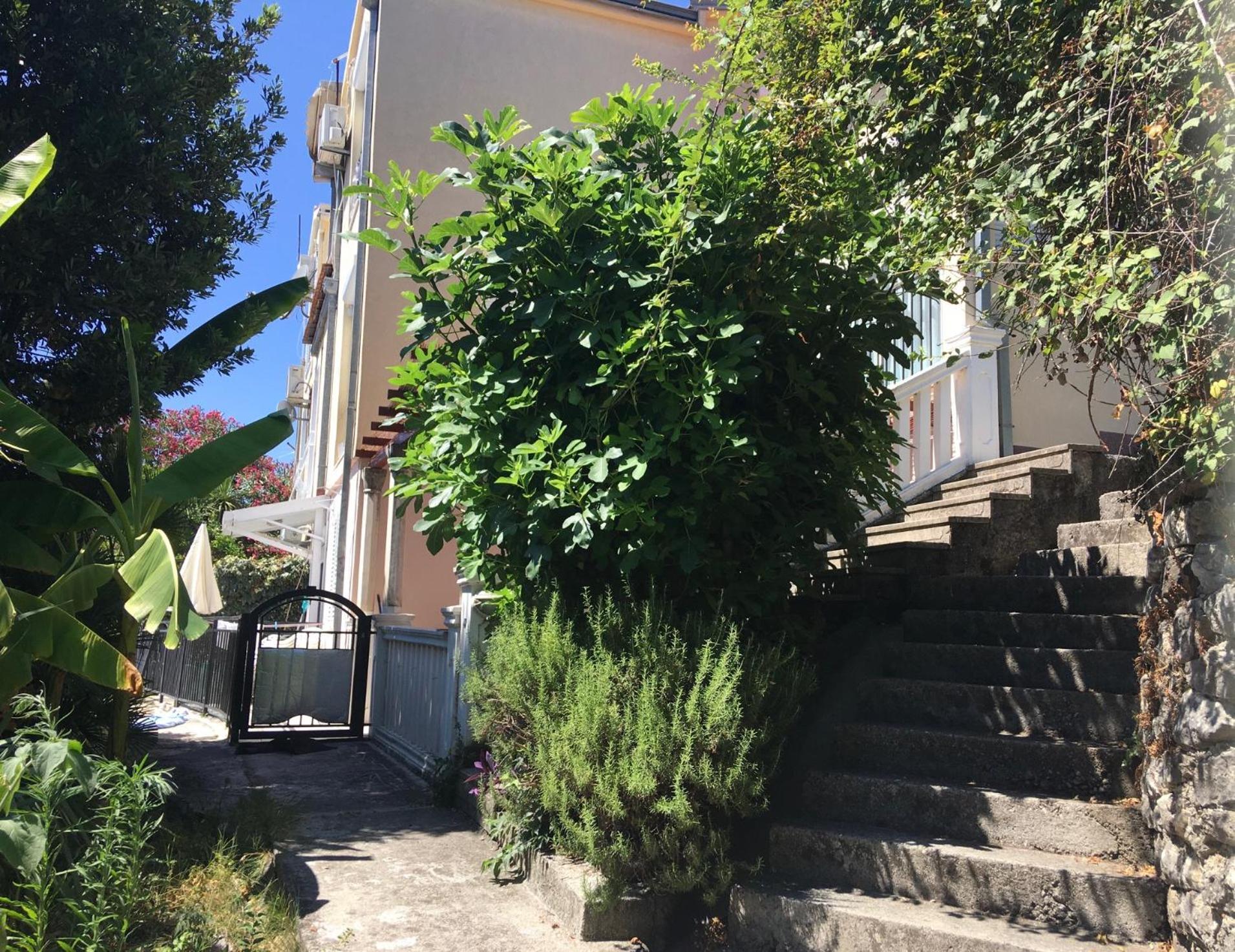 Apartment Simo Herceg Novi Exterior photo