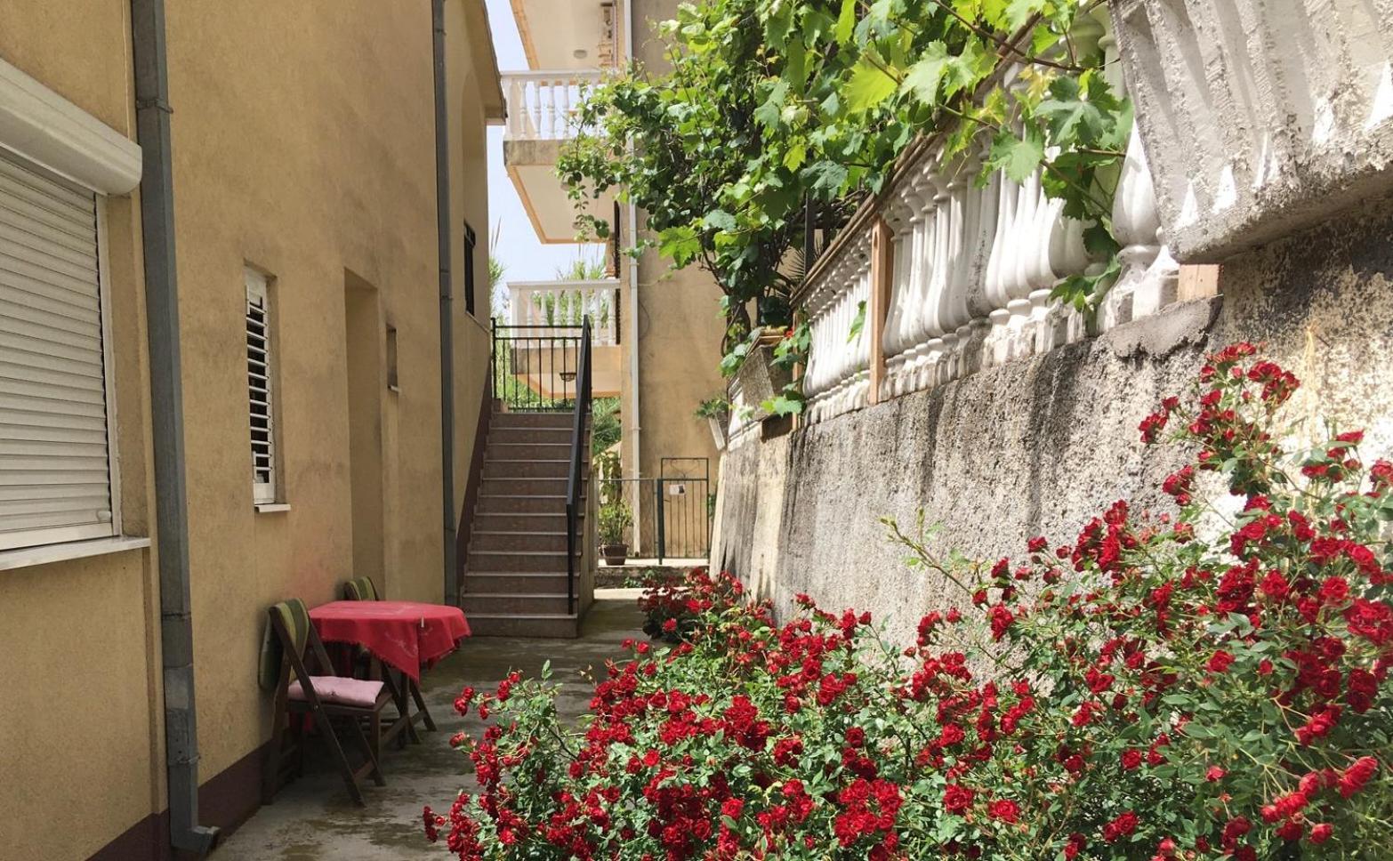 Apartment Simo Herceg Novi Exterior photo